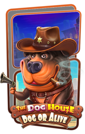 The Dog House – Dog or Alive