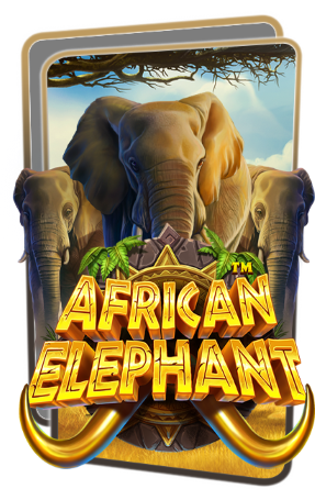 African Elephant