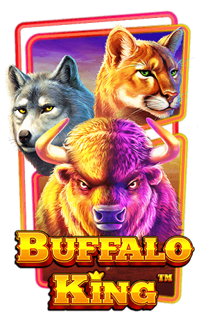 Buffalo King