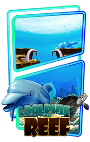 Dolphin Reef_slotxo
