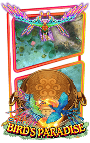 Bird Paradise_slotxo