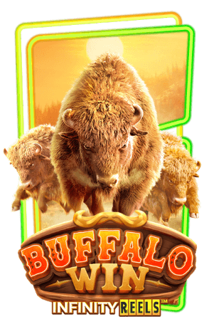 Buffalo Win