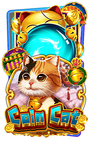 Coin Cat