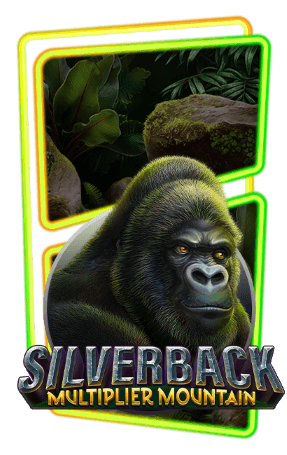 Silverback: Multiplier Mountain