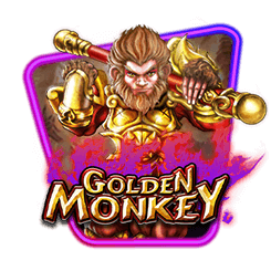 Golden Monkey