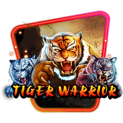 Tiger Warrior